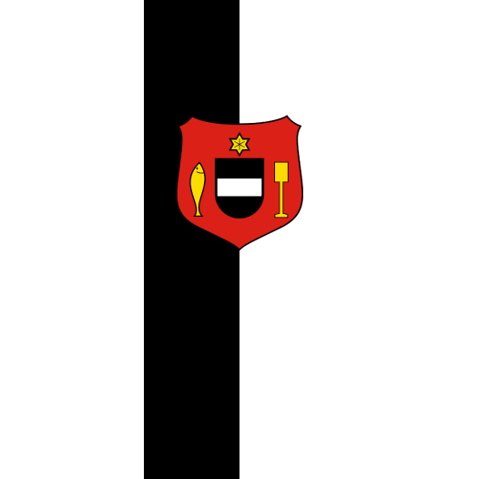 Vlag Bad Waldsee 100x150cm