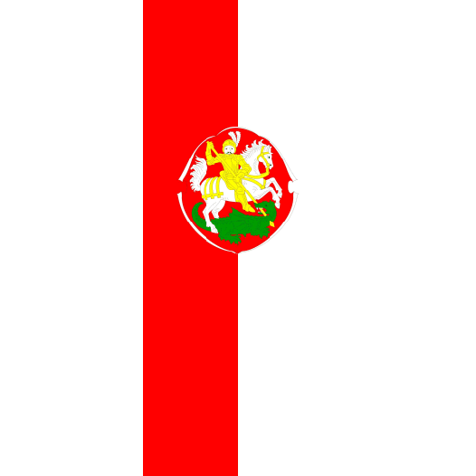 Vlag Bensheim 100x150cm