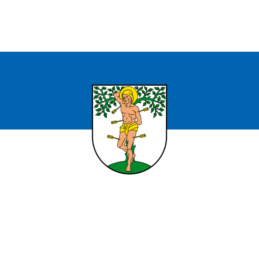 Vlag Blieskastel 200x300cm