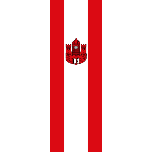 Vlag Borken 150x225cm