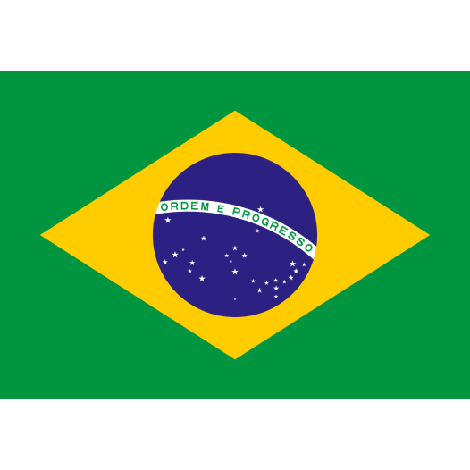 Vlag Brazilië 300x450cm