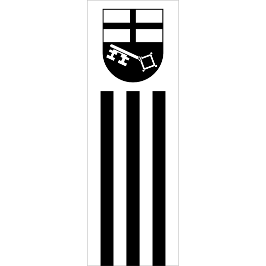 Vlag Brilon 150x225cm