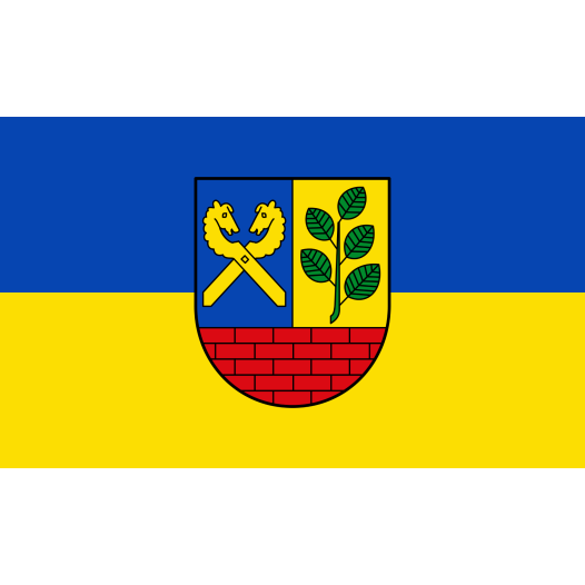 Vlag Buchholz 150x225cm