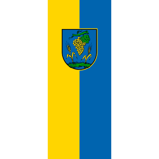 Vlag Coswig 200x300cm