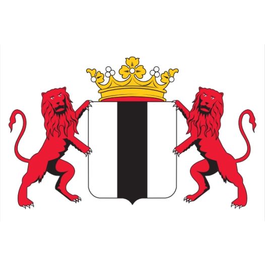 Vlag Delft met wapen 70x100cm