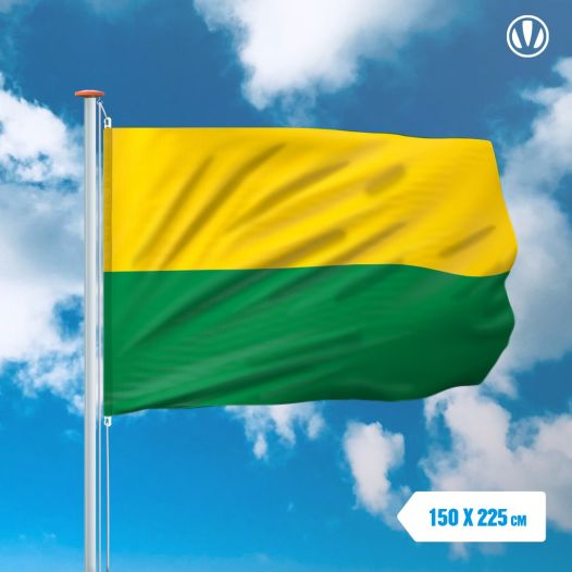 Vlag Den Haag 150x225cm