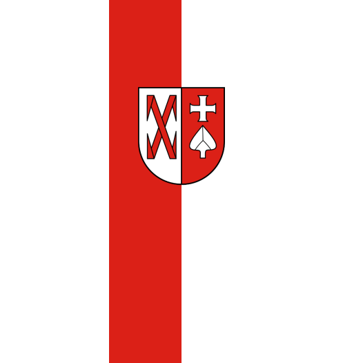 Vlag Ditzingen 100x150cm
