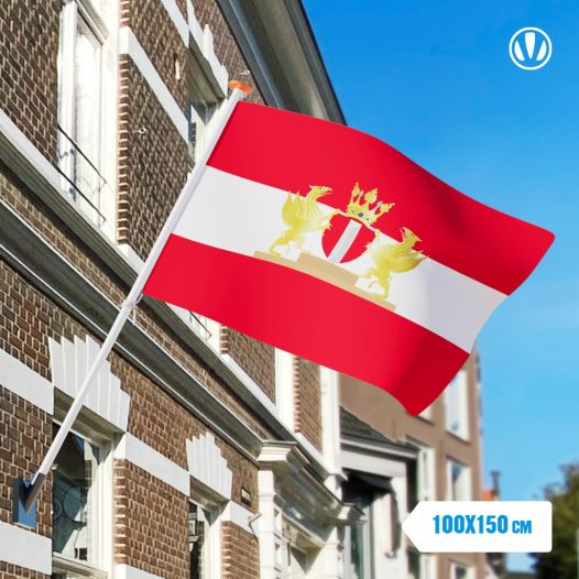 Vlag Dordrecht met wapen 100x150cm