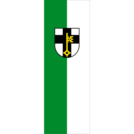 Vlag Dorsten 150x225cm