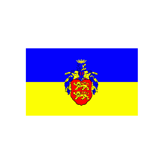 Vlag Duderstadt 150x225cm