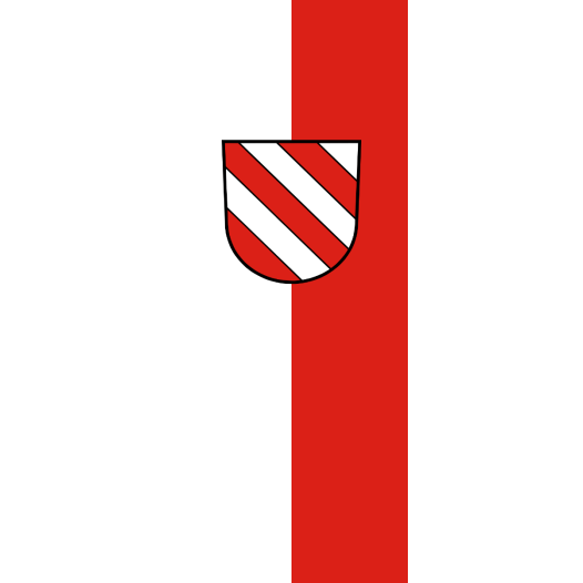 Vlag Ehingen 150x225cm