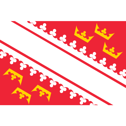 Vlag Elzas 200x300cm