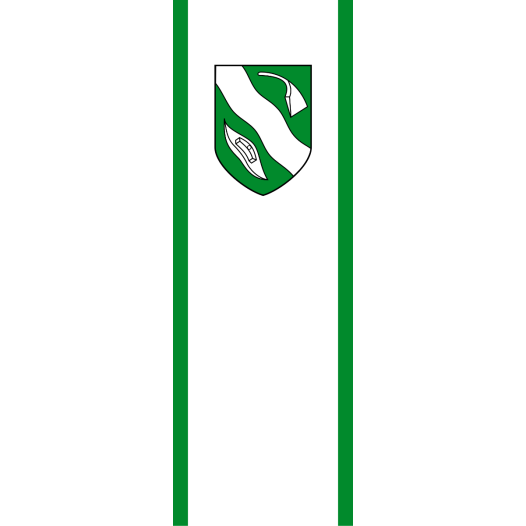 Vlag Emsdetten 200x300cm