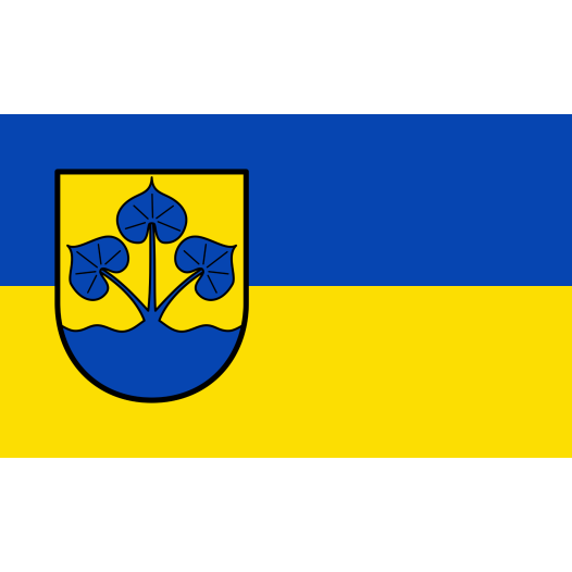 Vlag Enger 150x225cm