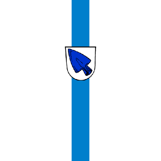 Vlag Erding 150x225cm