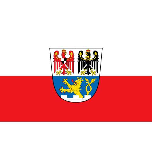 Vlag Erlangen 100x150cm