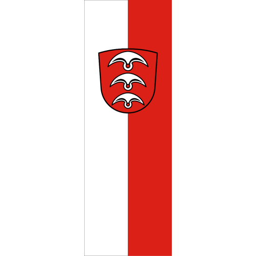 Vlag Fellbach 100x150cm