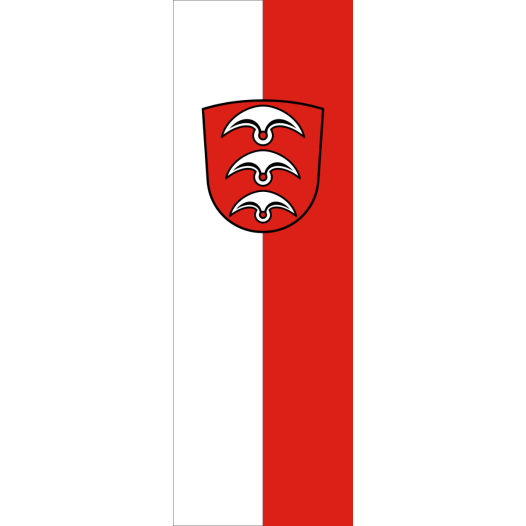 Vlag Fellbach 150x225cm