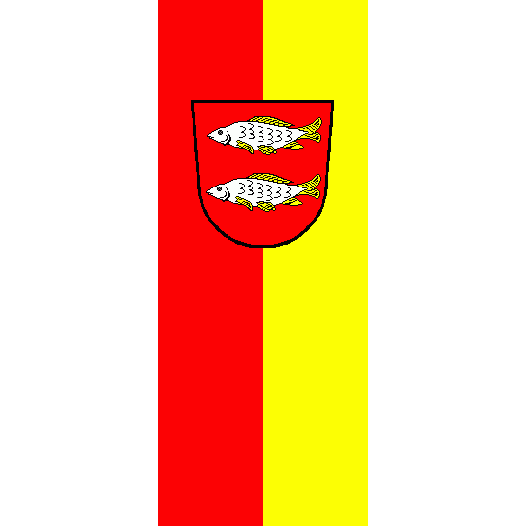Vlag Forchheim 100x150cm