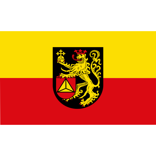 Vlag Frankenthal 150x225cm