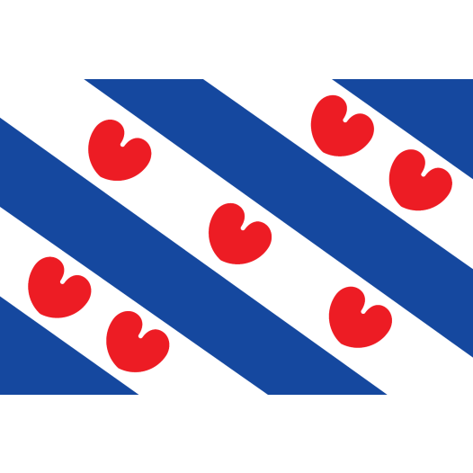Vlag Friesland 90x150cm I Best Value