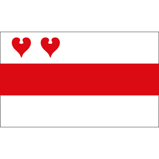 Vlag Friesoythe 100x150cm