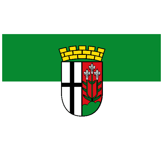 Vlag Fulda 150x225cm