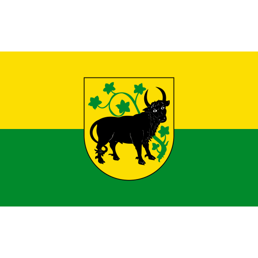 Vlag Güstrow 100x150cm