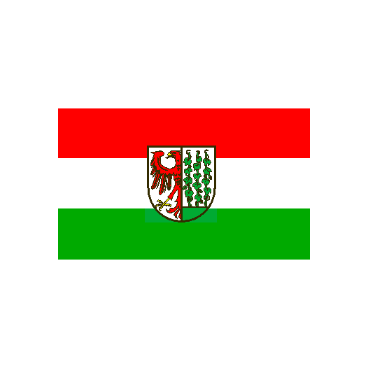 Vlag Gardelegen 200x300cm