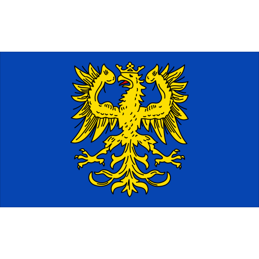 Vlag Germersheim 100x150cm