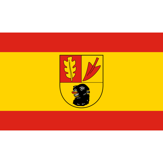 Vlag Hörstel 150x225cm