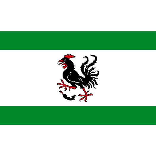 Vlag Haan 200x300cm