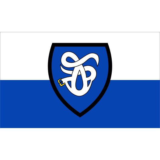 Vlag Haltern am See 150x225cm