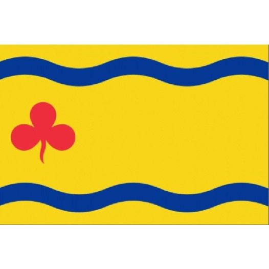 Vlag Hardenberg 100x150cm