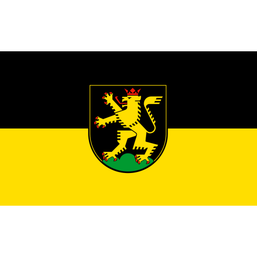 Vlag Heidelberg 150x225cm