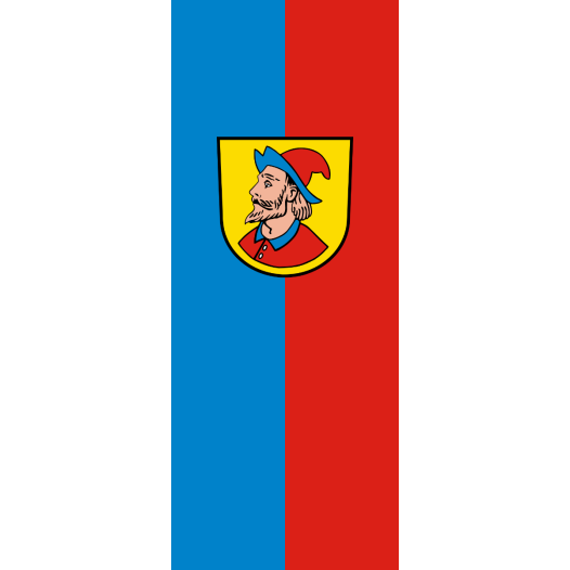 Vlag Heidenheim 200x300cm