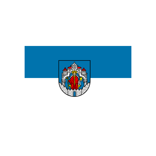 Vlag Helmstedt 200x300cm