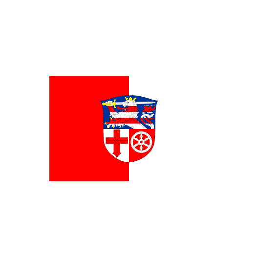 Vlag Heppenheim 200x300cm