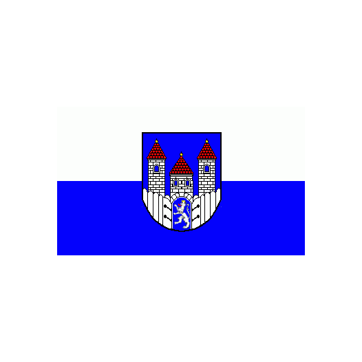 Vlag Holzminden 150x225cm