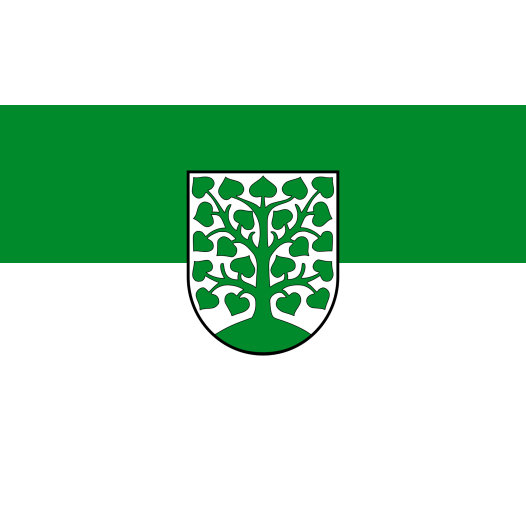 Vlag Homburg 200x300cm