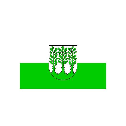 Vlag Hoyerswerda 200x300cm
