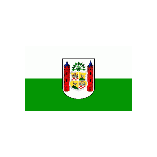 Vlag Ilmenau 150x225cm