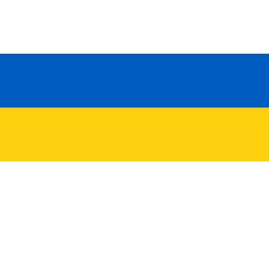 Vlag Jena 200x300cm