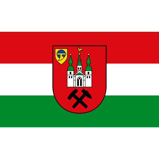 Vlag Kamp-Lintfort 100x150cm