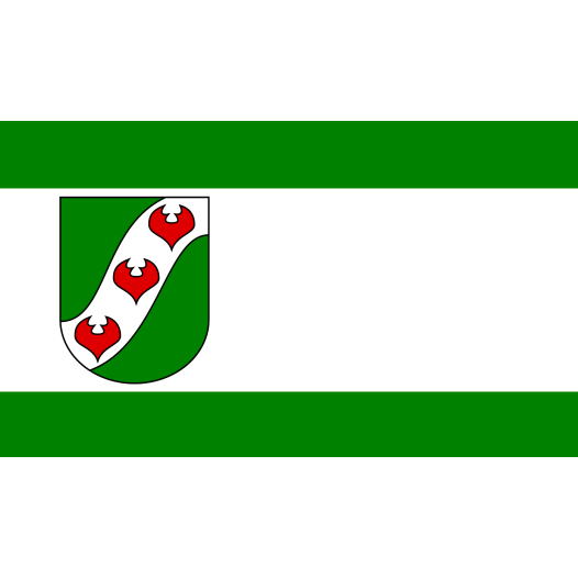Vlag Löhne 200x300cm
