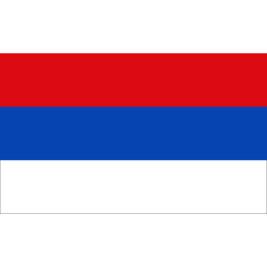Vlag Lüneburg 200x300cm