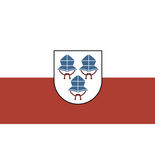 Vlag Landshut 100x150cm