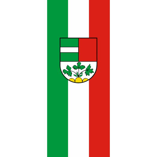 Vlag Laupheim 100x150cm