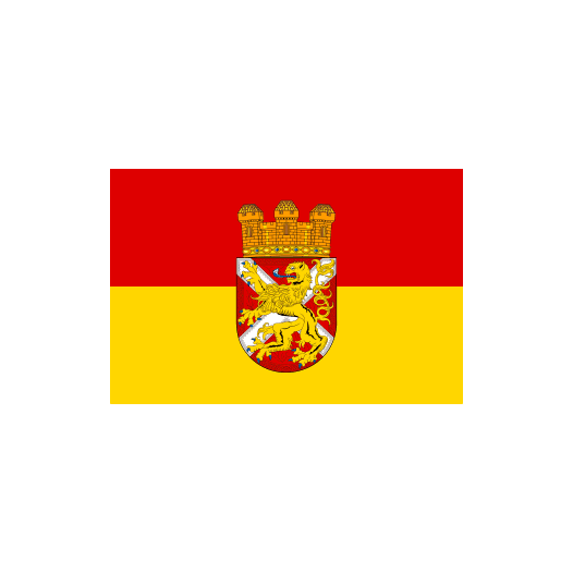 Vlag Lehrte 200x300cm