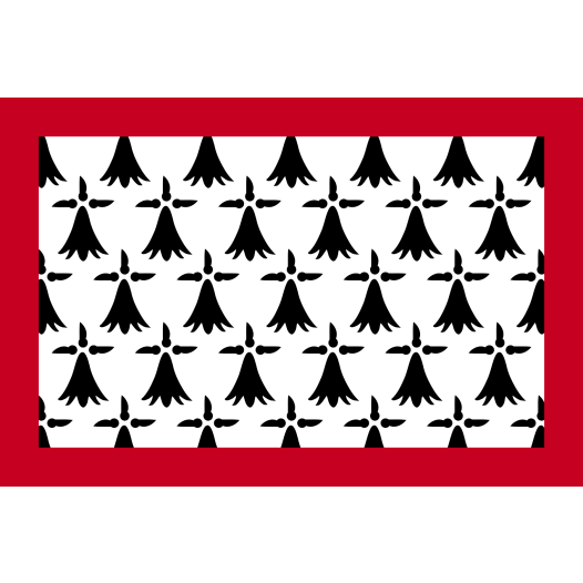 Vlag Limousin 100x150cm